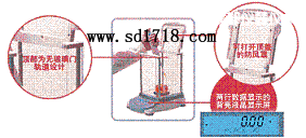 �ɶ����M����ƽ,110g,0.0001g